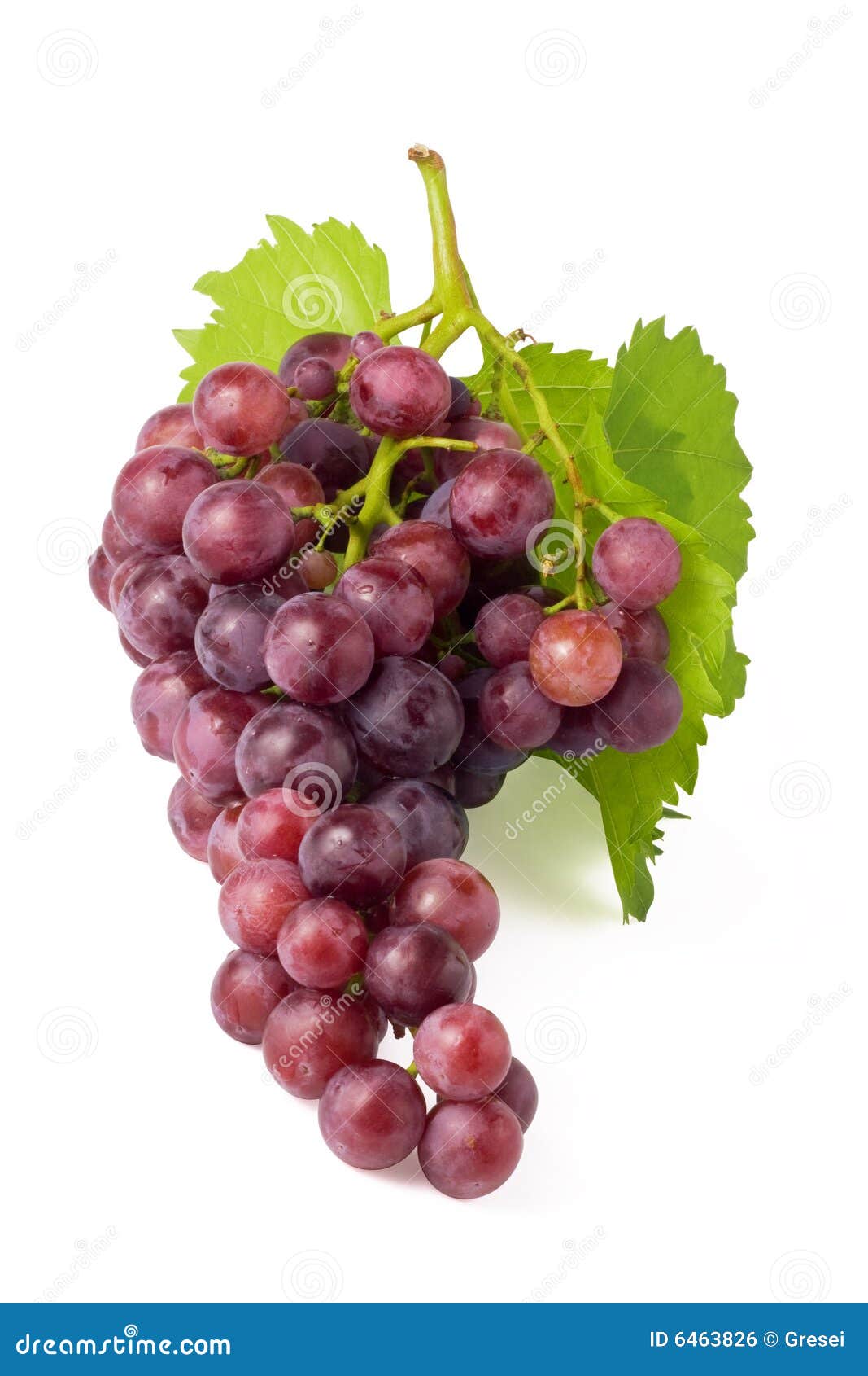 Bunch of grapes stock photo. Image of fruit, vegetarian 6463826