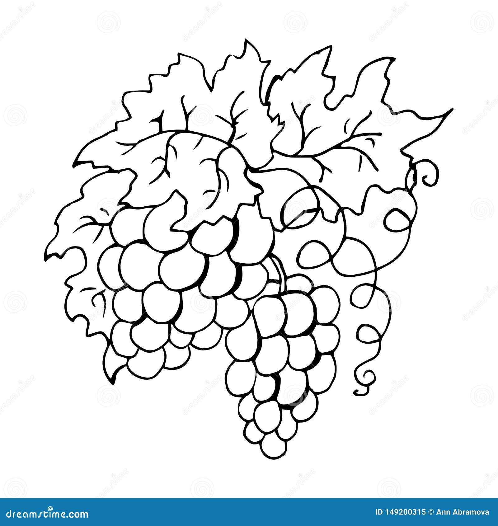 Download Bunch Of Grapes. Coloring Book Vector Illustration Stock ...