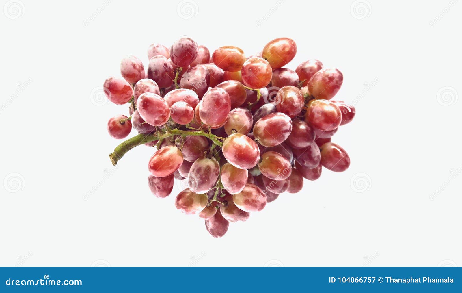 The grape stock image. Image of superfood, fruit, vitis 104066757