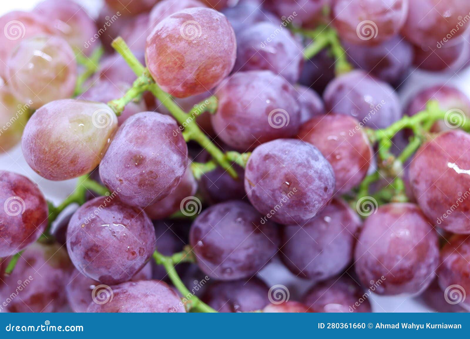Bunch of grapes stock photo. Image of green, berry, grape 280361660