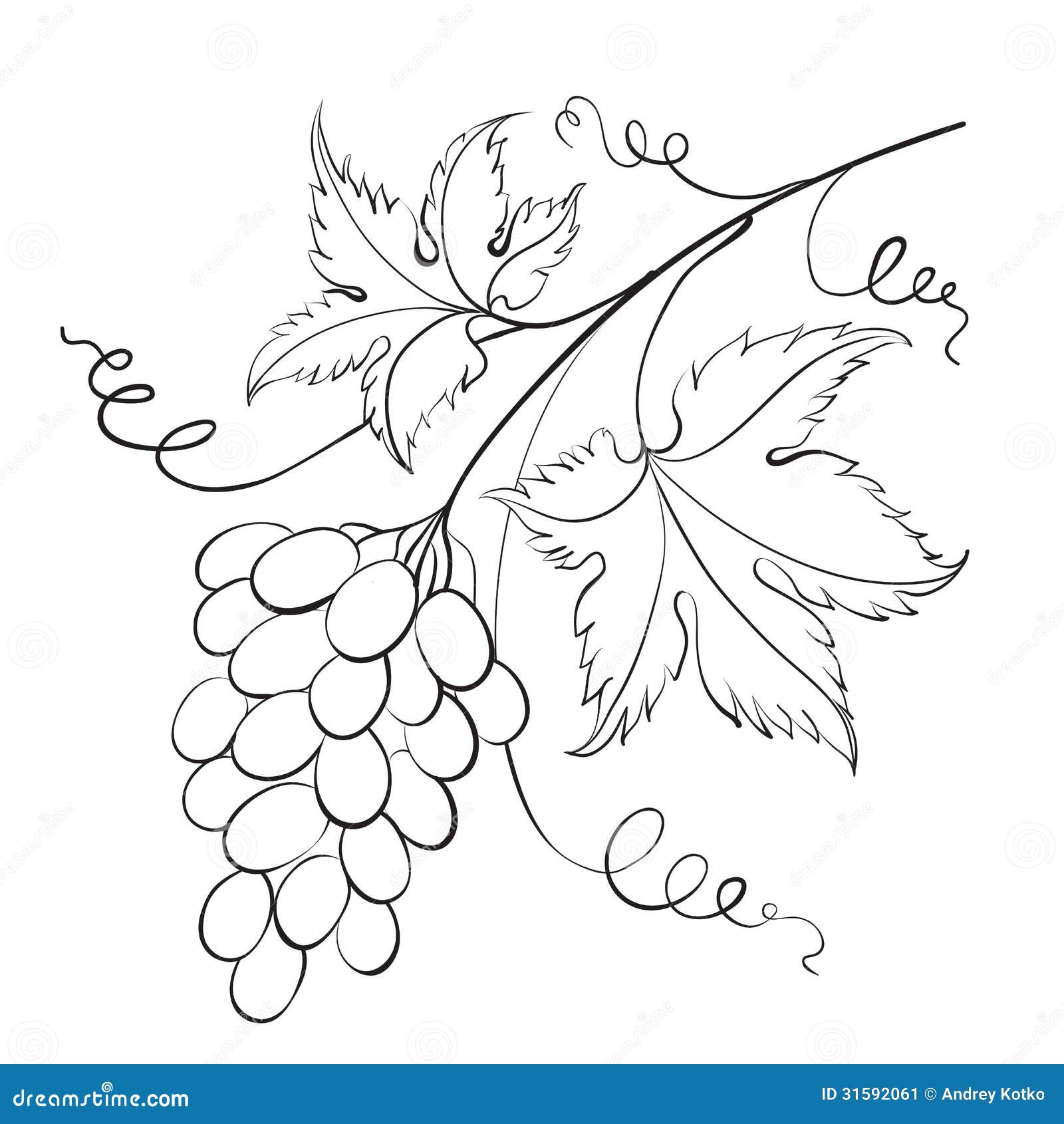 Grapevine Vector Stock Illustrations – 11,602 Grapevine Vector Stock  Illustrations, Vectors & Clipart - Dreamstime