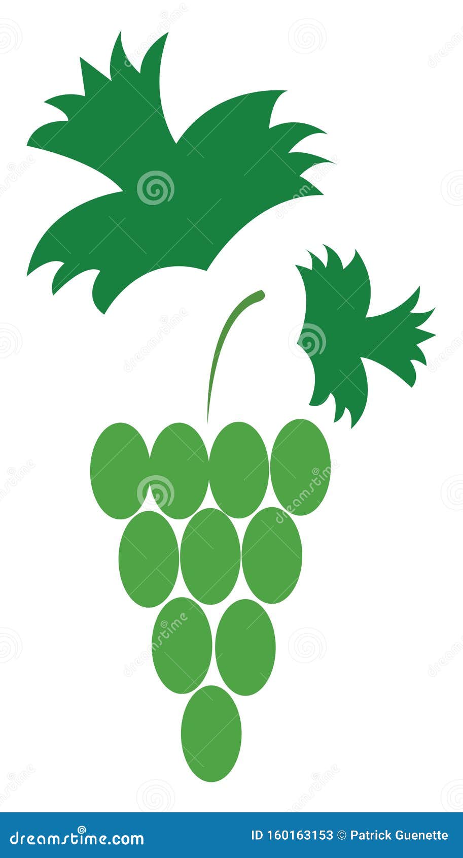 Download Green Grapes, Vector Or Color Illustration Stock Vector ...