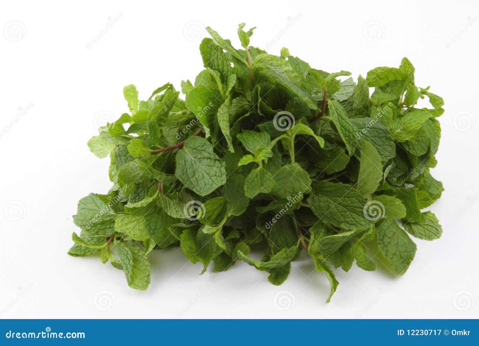 Bunch of Green mint leaves stock image. Image of herb 12230717