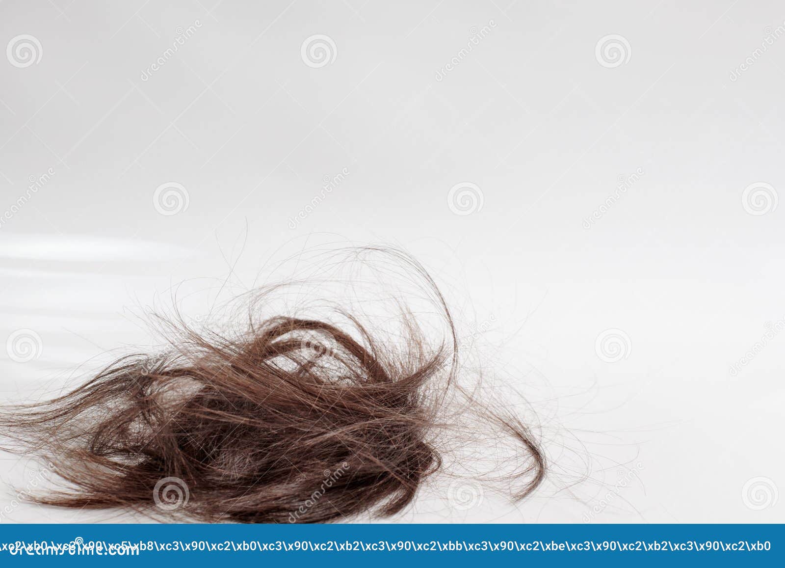 9900 Clump Of Hair Stock Photos Pictures  RoyaltyFree Images  iStock   Hair ball Hair loss Hairball