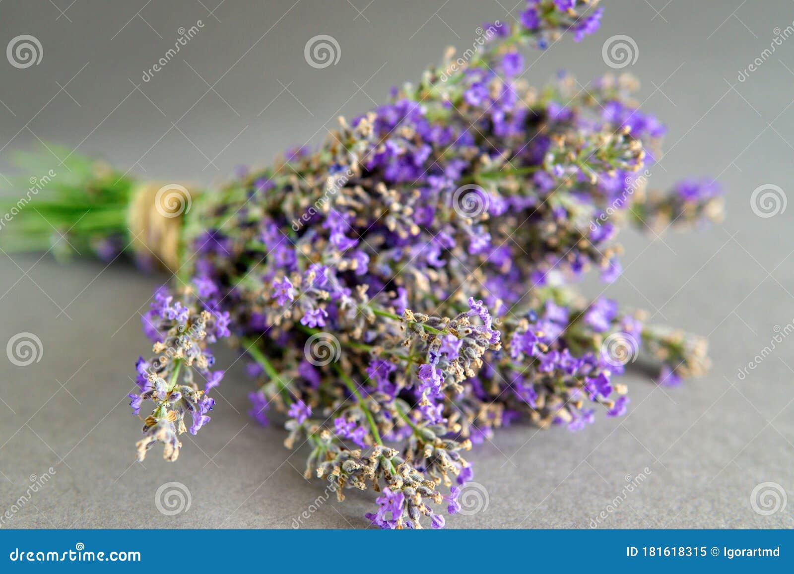 Bunch of lavender flowers stock image. Image of flower 181618315
