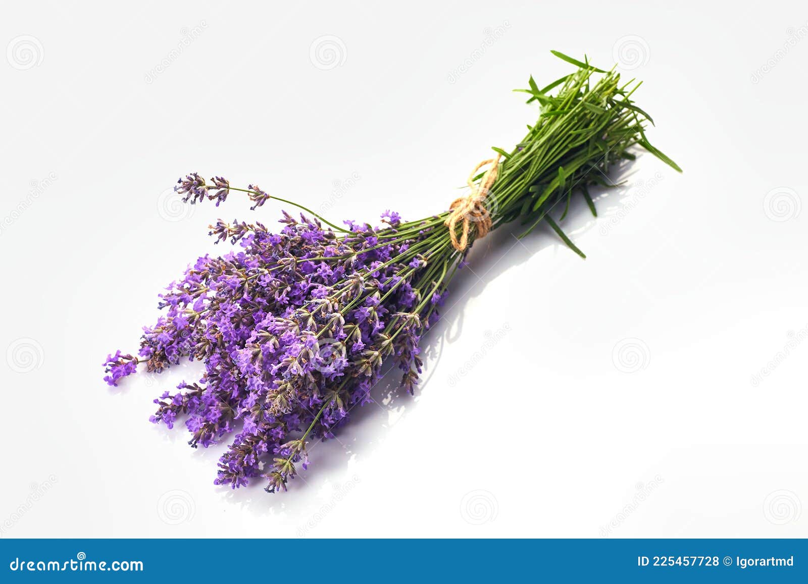 Bunch of Lavender flowers stock photo. Image of botanical 225457728