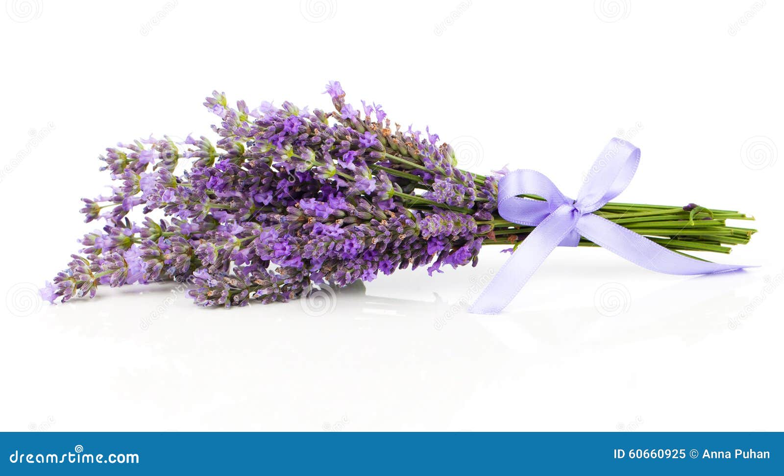 Bunch of lavender flowers stock image. Image of detail - 60660925