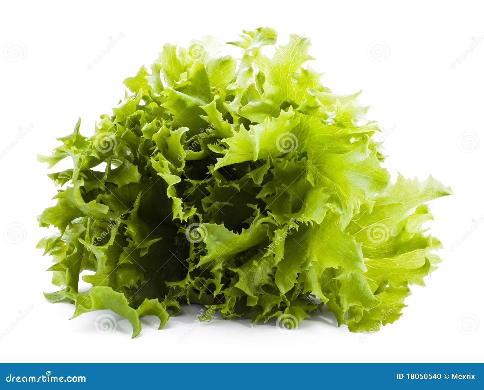 Bunch of lettuce stock photo. Image of color, eating 18050540