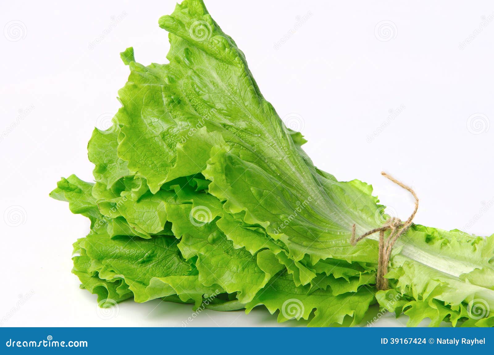 Bunch of lettuce stock photo. Image of organic, twine 39167424