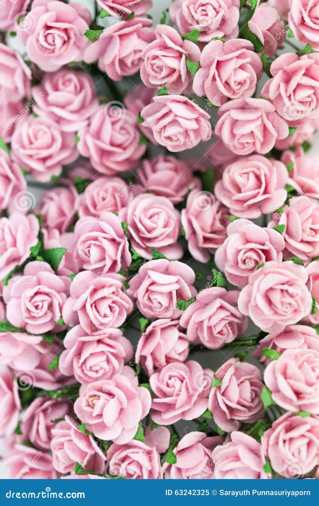 Bunch of Light Magenta Roses for Background Stock Image Image of
