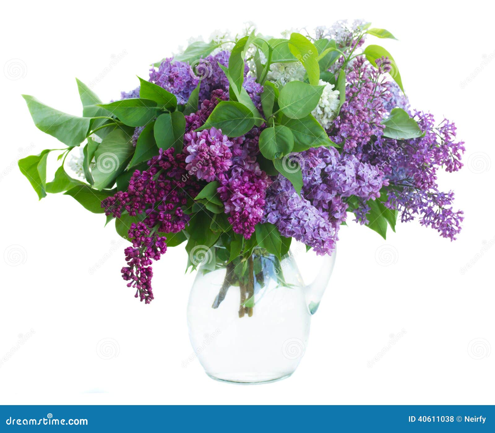 Bunch of Lilac in jar stock photo. Image of lilac, beauty 40611038