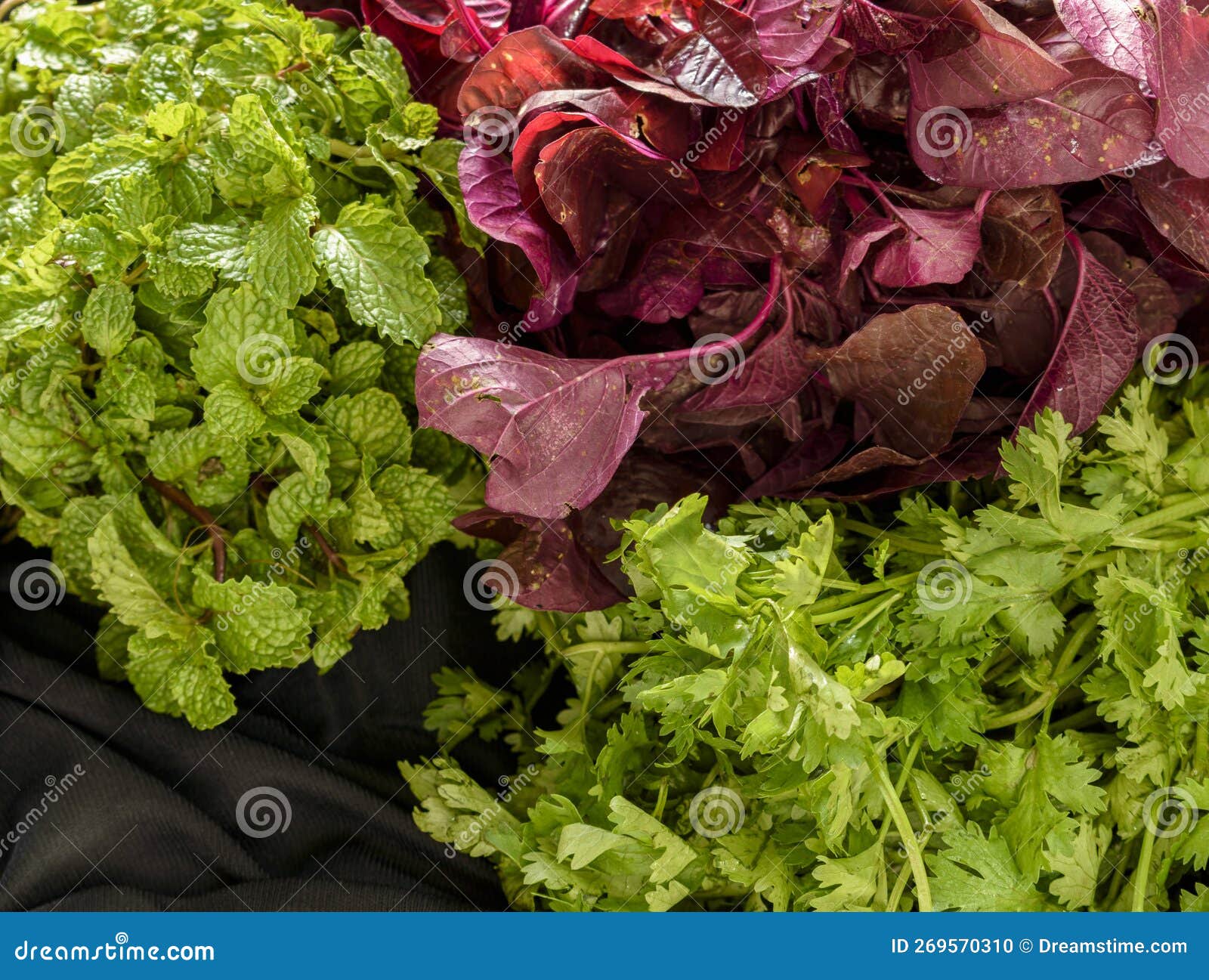 A Bunch of Mint Leaves, Coriander Leaves and Amaranth Red Spinach Stock