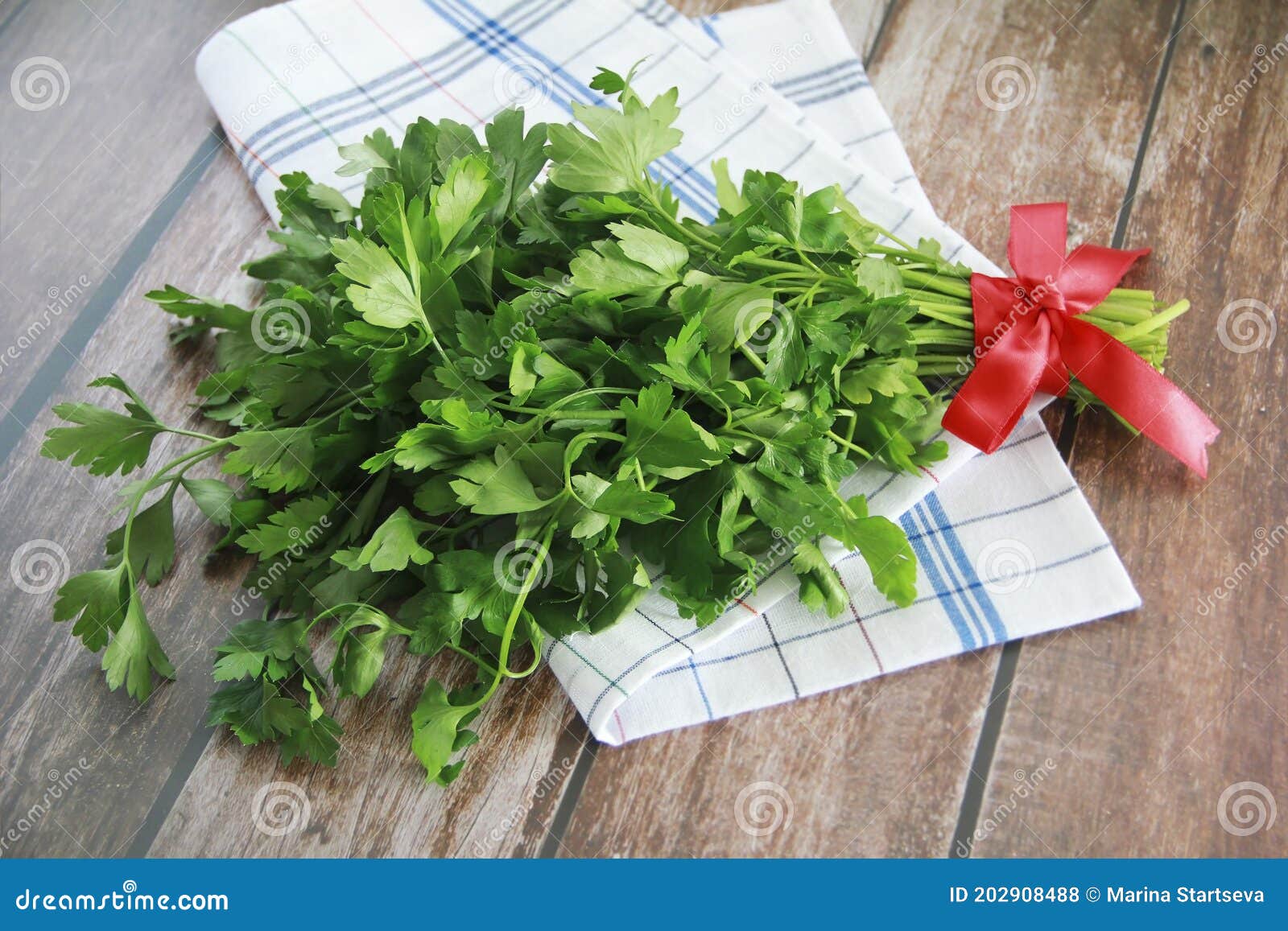 a bunch of natural green parsley with leaves