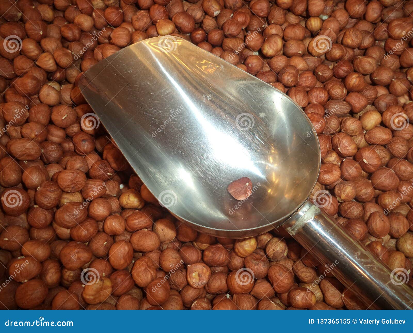 A bunch of nut hazelnut stock image. Image of bulk, aroma 137365155
