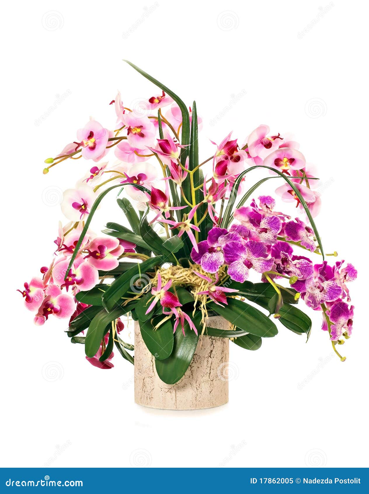 Bunch of orchids stock image. Image of bowl, decoration - 17862005