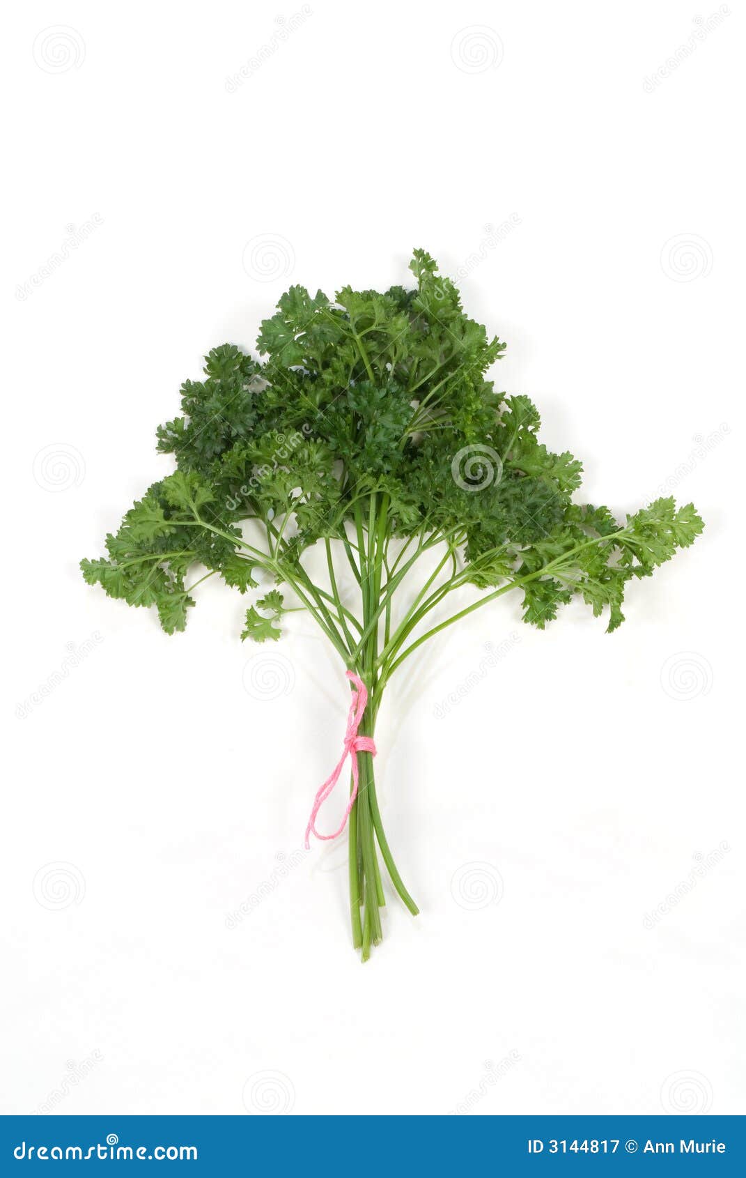 Bunch of Parsley stock image. Image of seasoning, ingredient 3144817