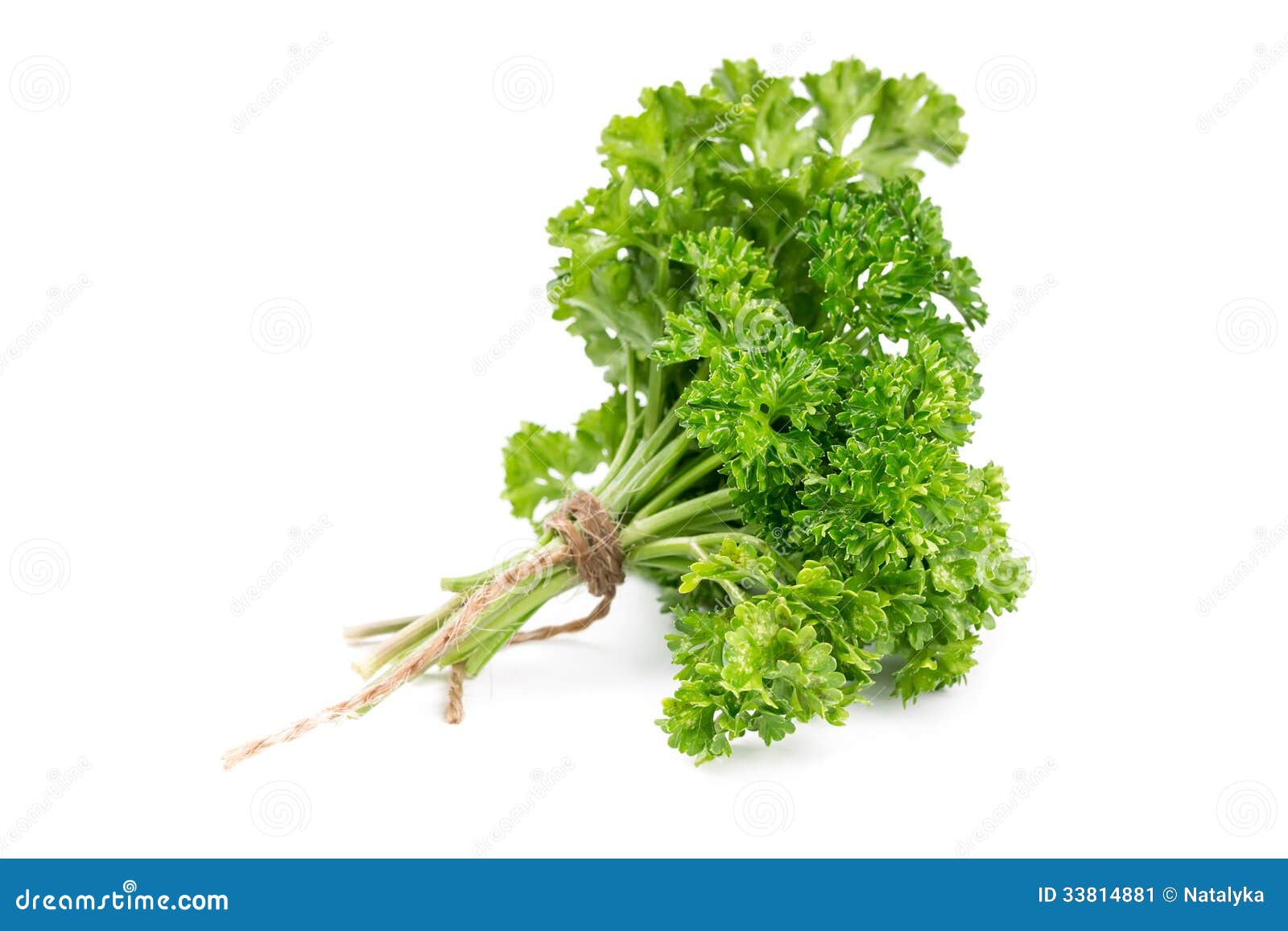 Bunch of parsley stock image. Image of nature, parsley 33814881