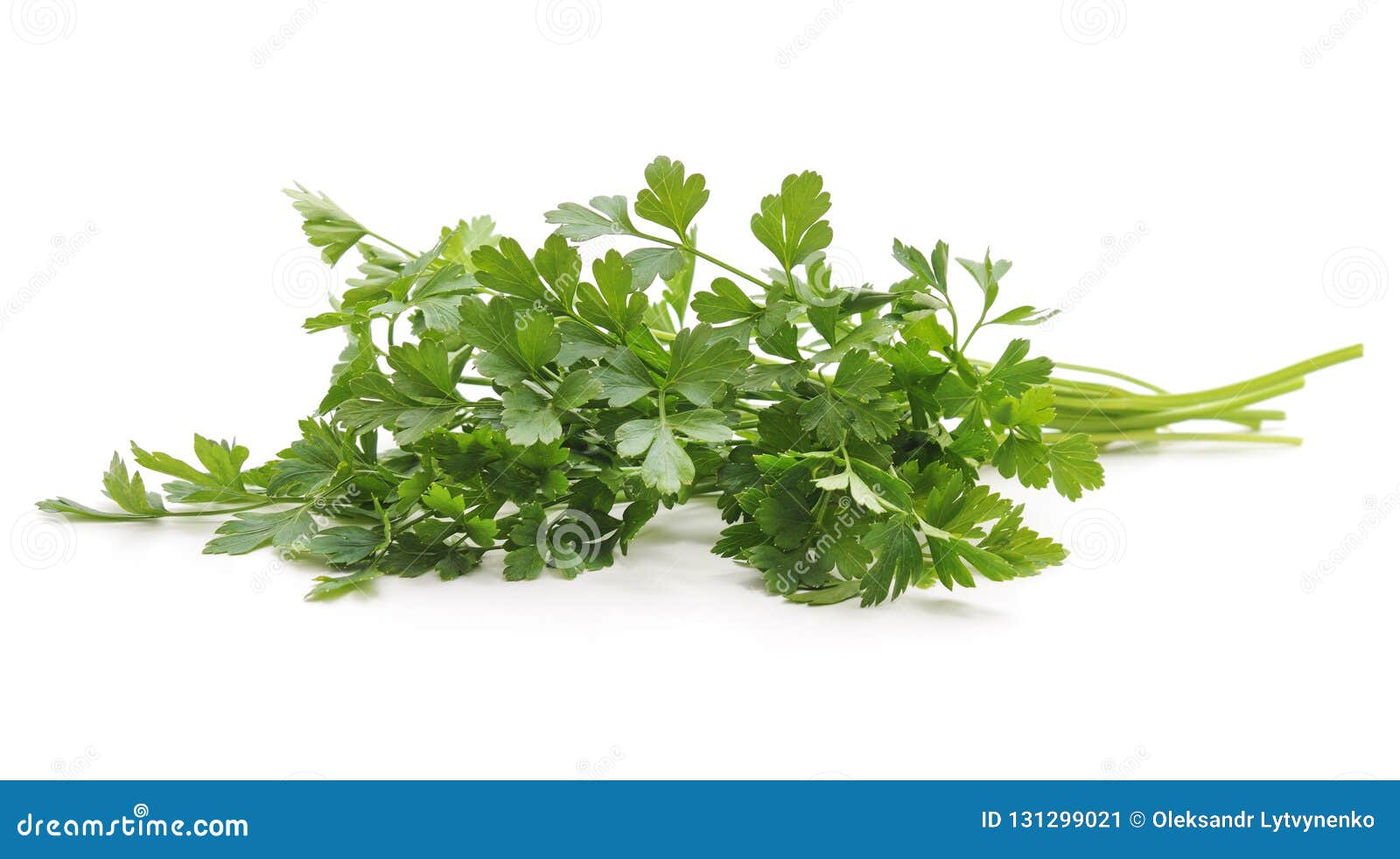 Bunch of parsley. stock image. Image of lush, food, nature 131299021