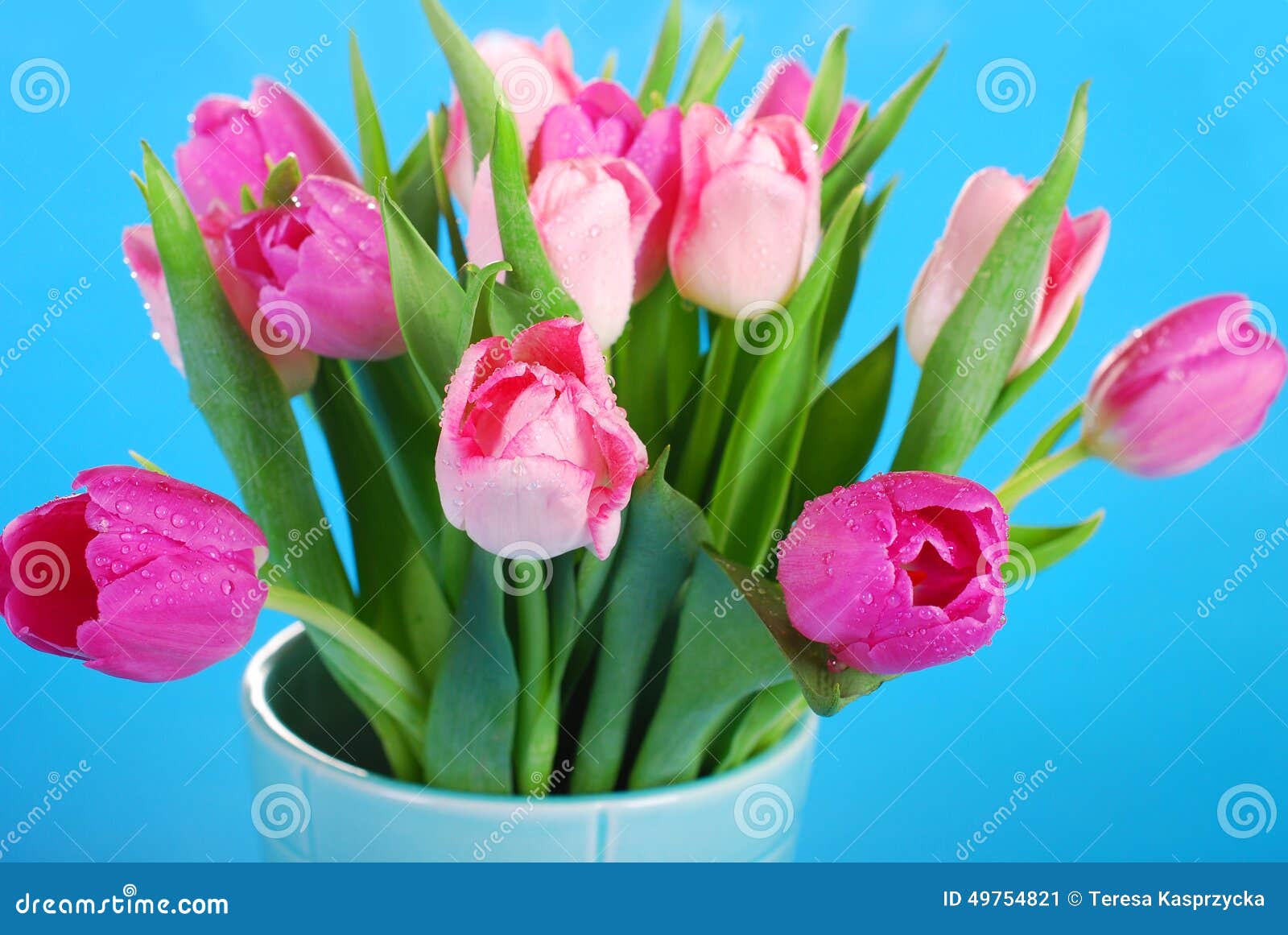 Bunch of Pink Tulips in Vase Stock Image Image of holiday, ribbon