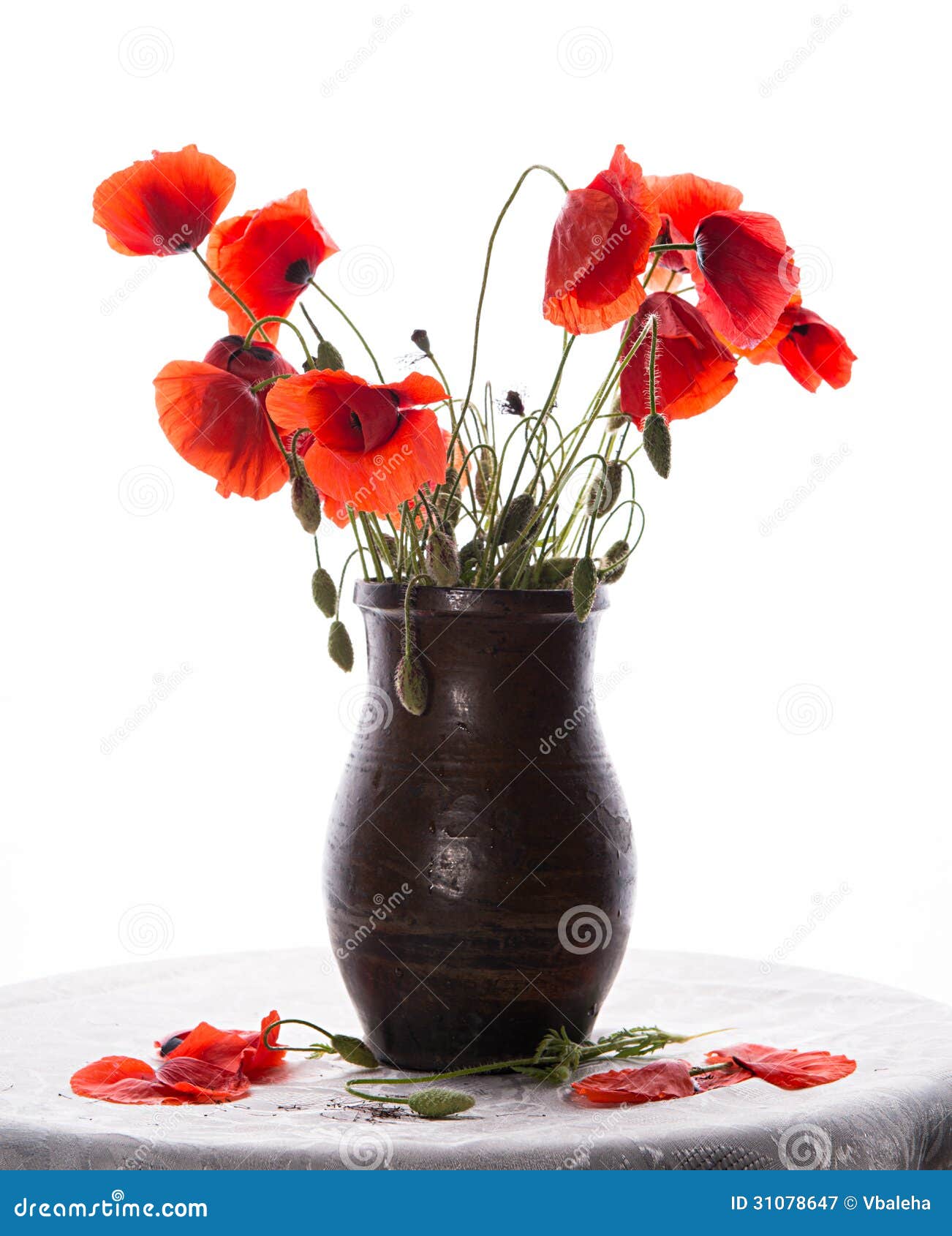 Bunch Of Poppies In Vase Royalty Free Stock Photography Image 31078647