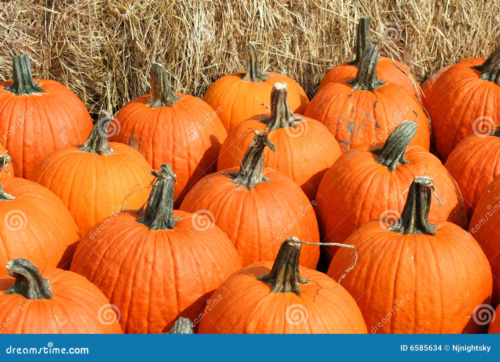 Bunch of pumpkins stock photo. Image of backgrounds, autumn 6585634