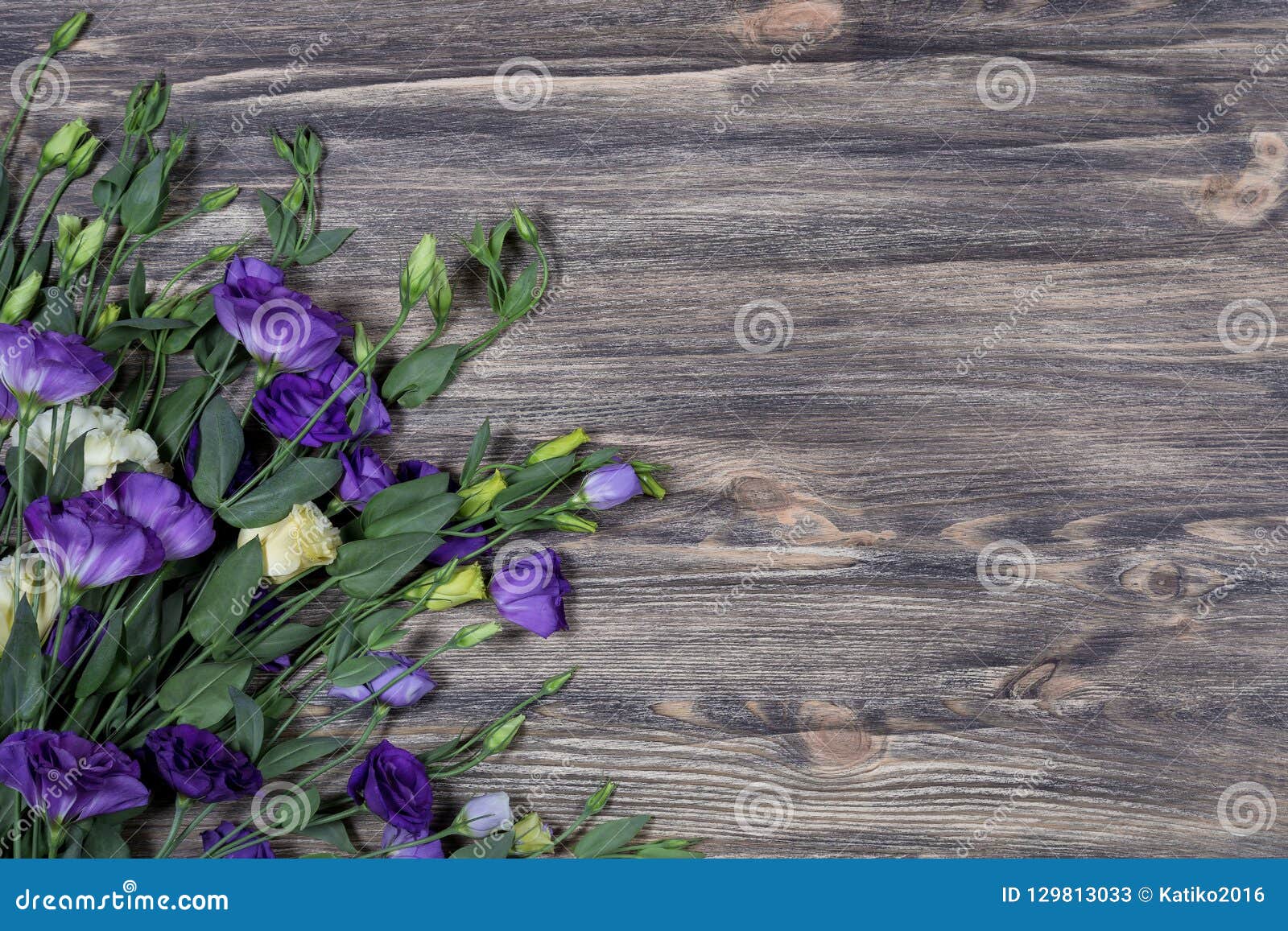 Download Bunch Of Purple And Beige Eustoma Flowers Prairie Gentian ...