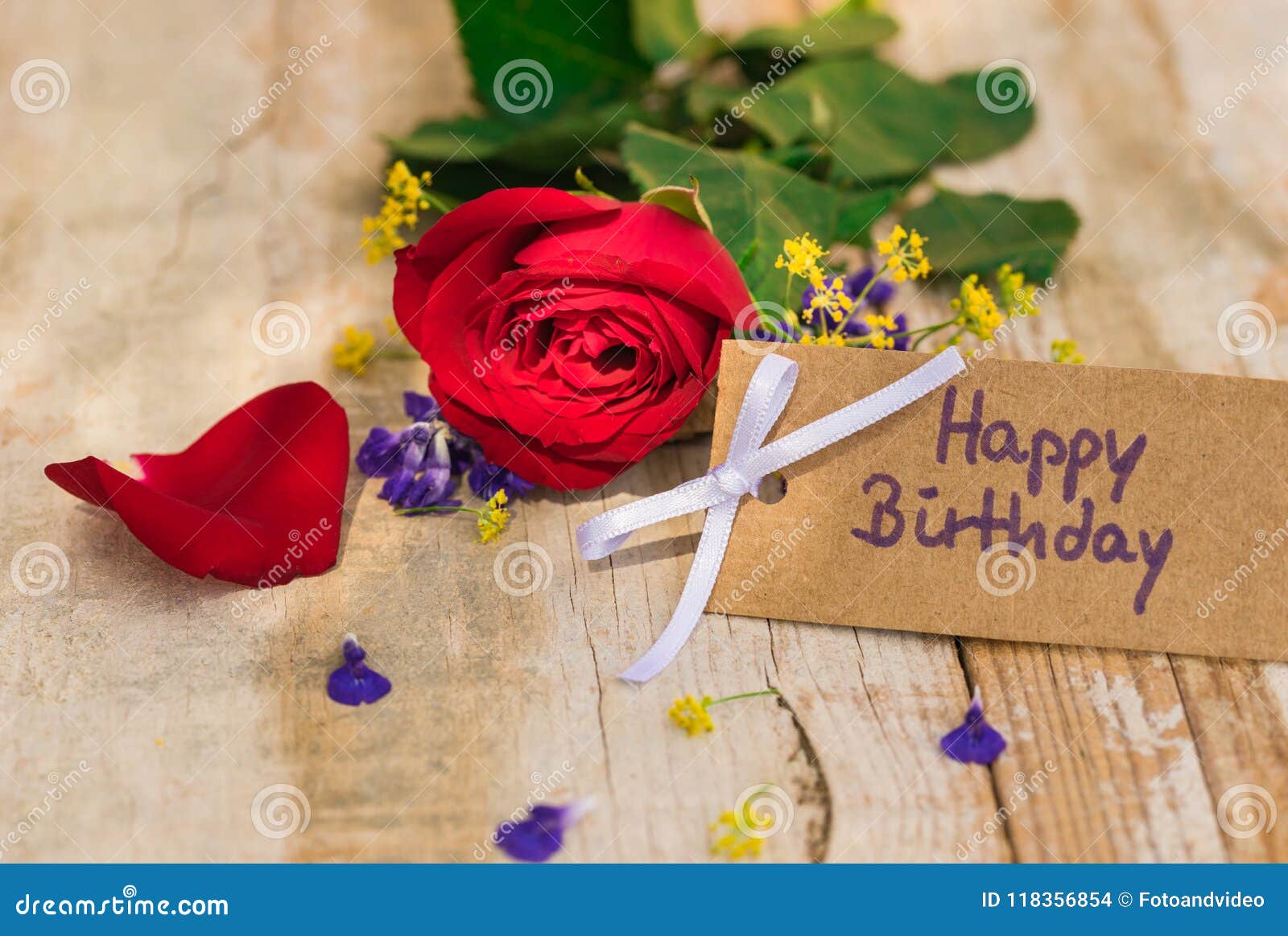 Happy Birthday Greeting Card with Red Rose Flower Stock Photo - Image ...