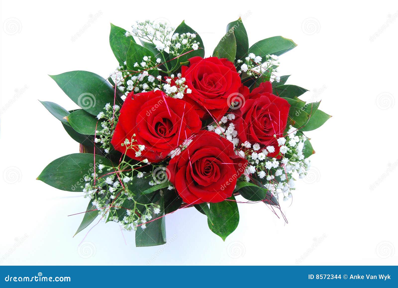bunch red roses