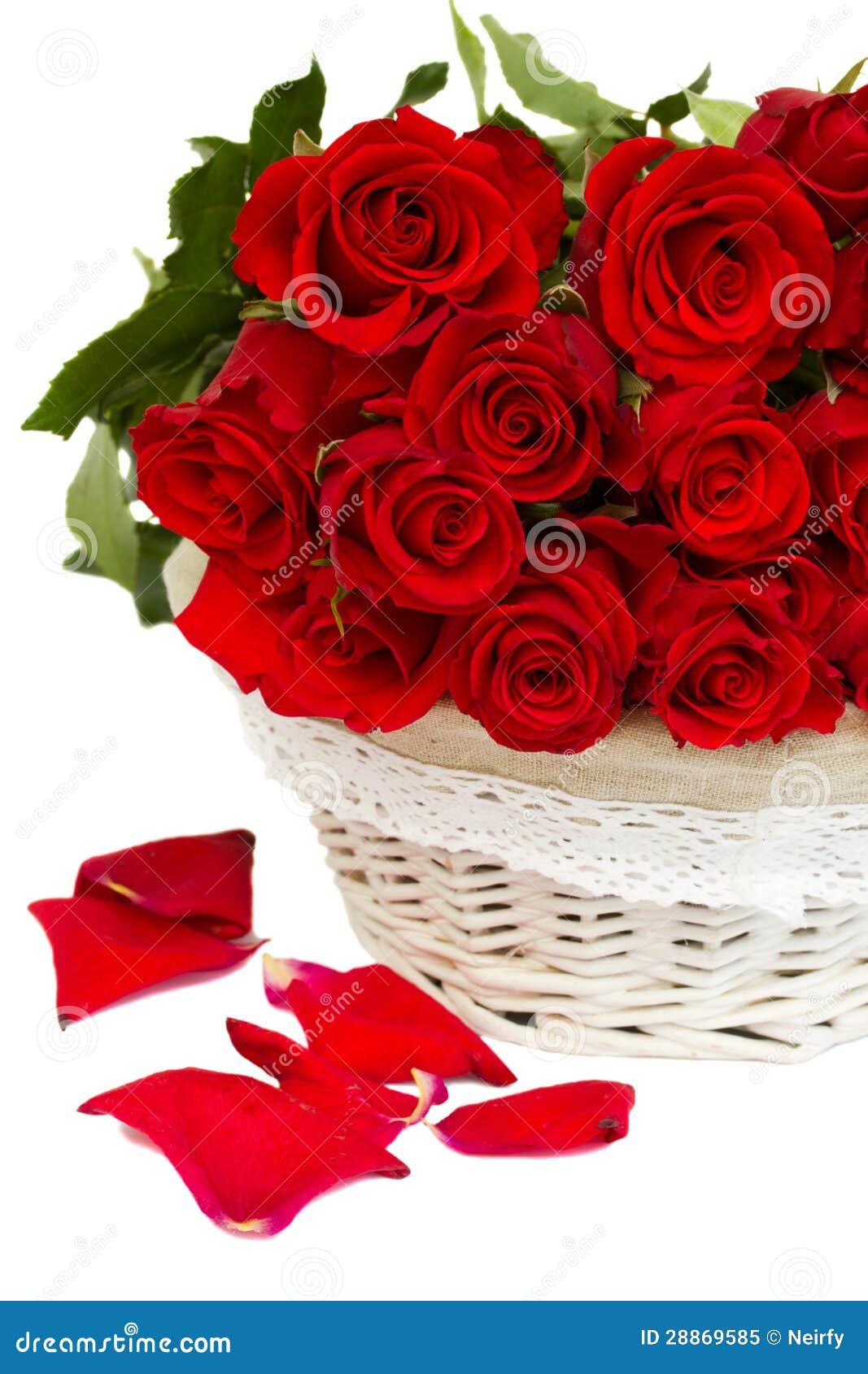 Bunch of Red Roses in Basket Stock Image Image of natural, basket