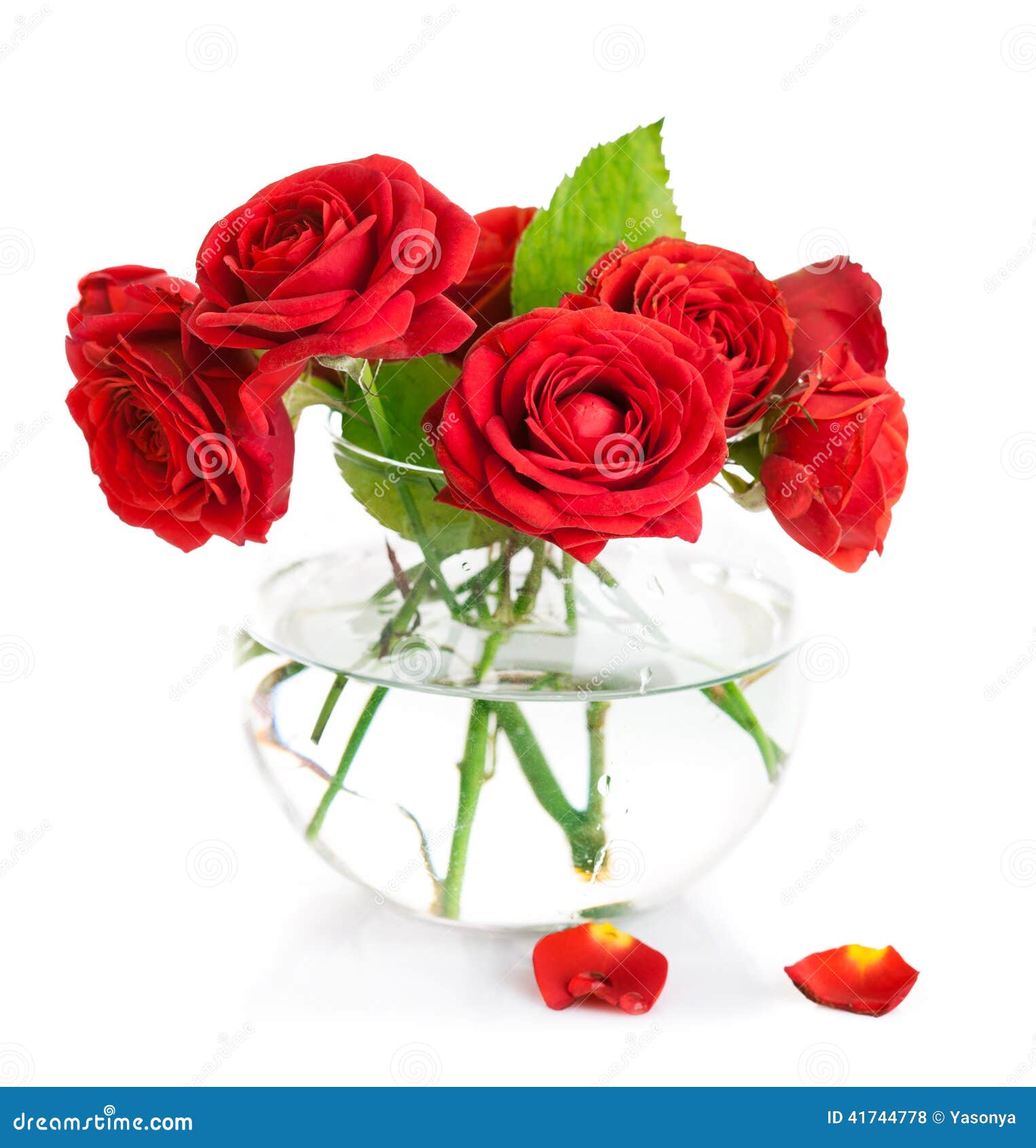 Bunch Red Roses in Glass Vase Stock Photo Image of object, vegetation