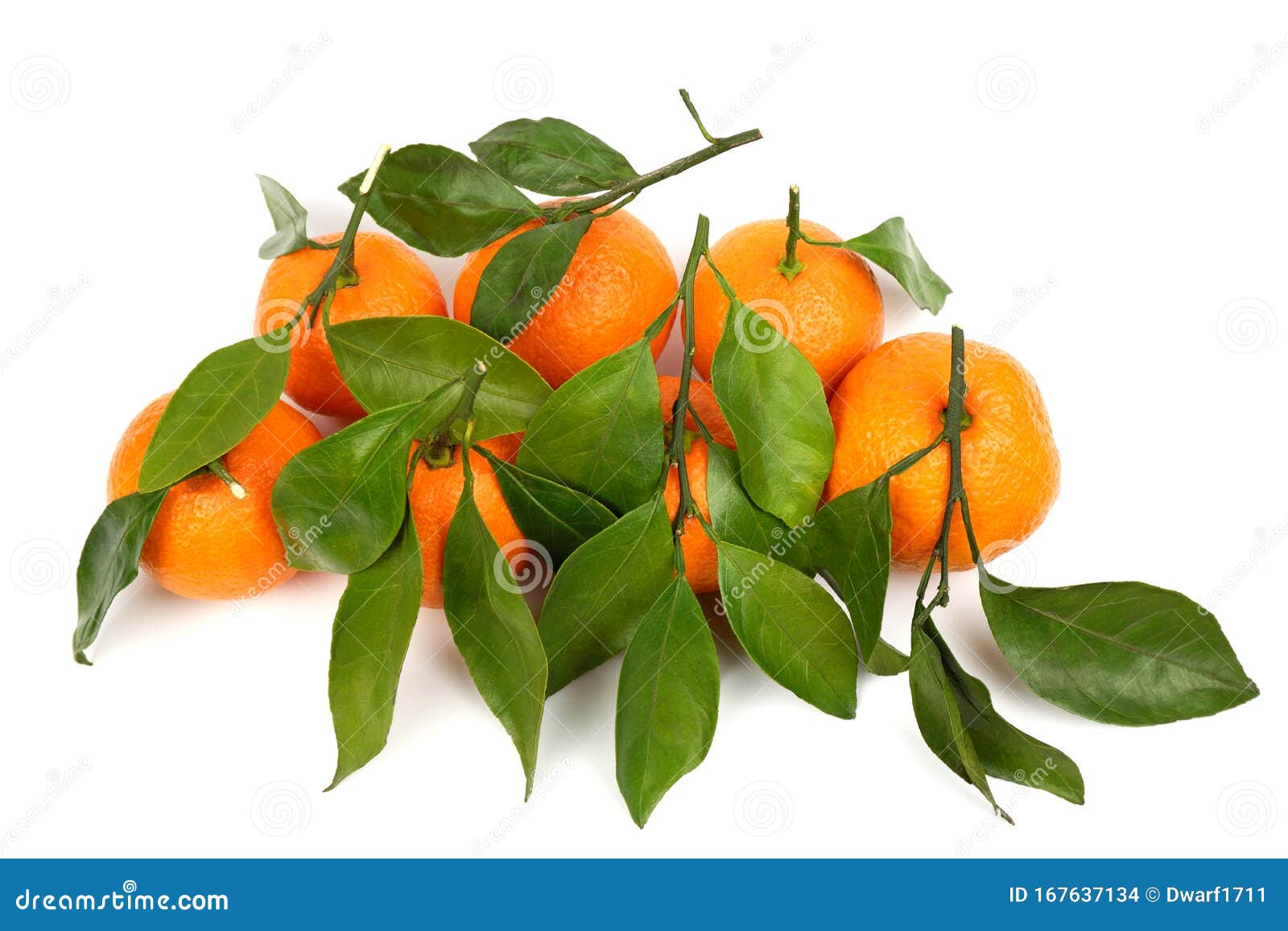 Bunch of ripe juicy orange tangerines with leaves isolated on white background.