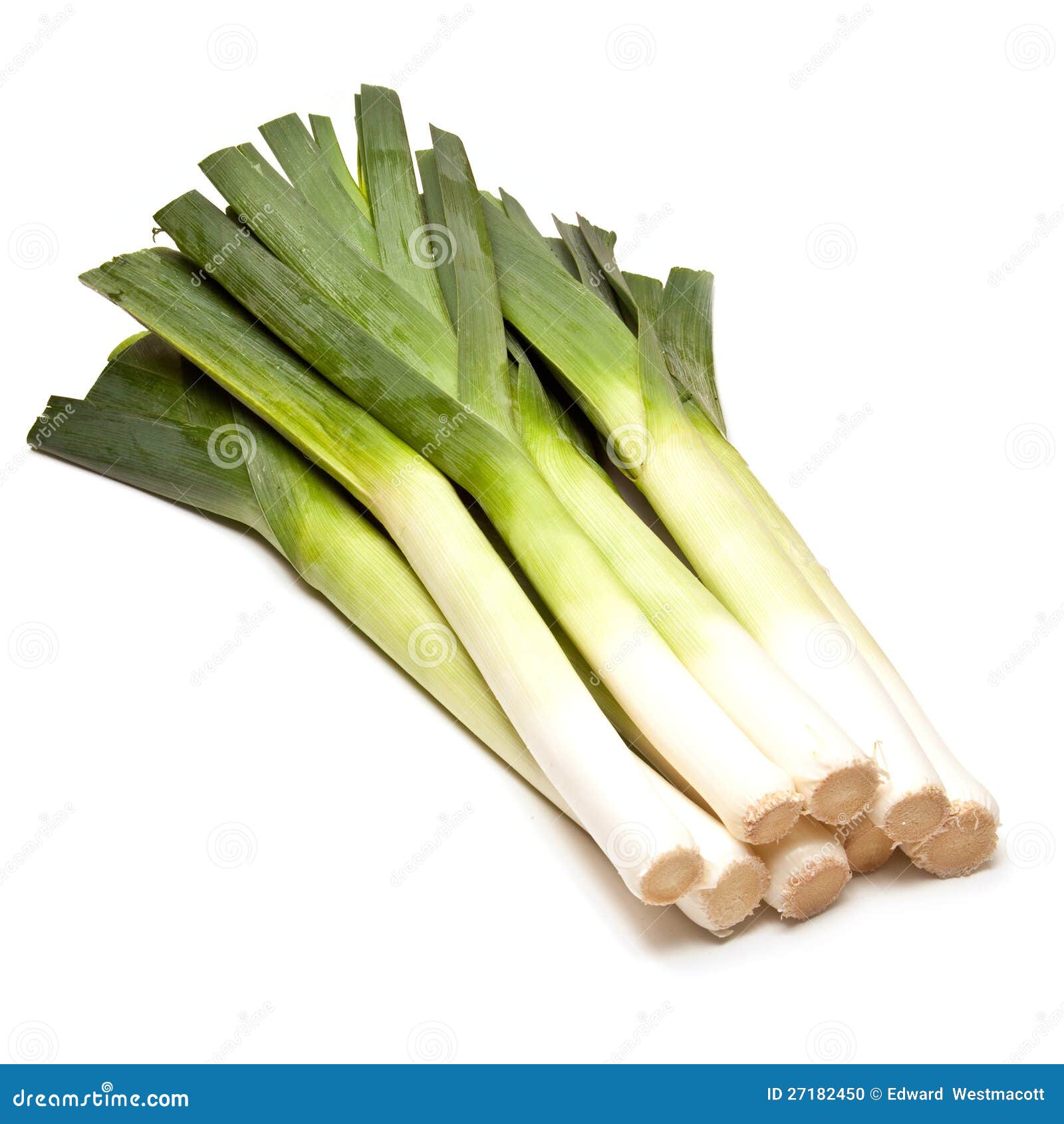 Top 28+ Stock Images show me a picture of a leek Sharp Top 28+ Stock Images show me a picture of a leek Sharp