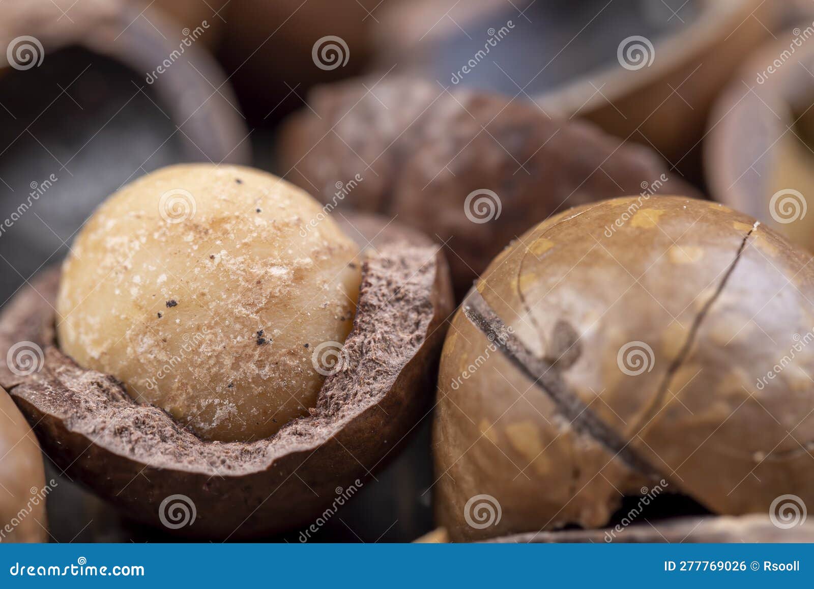 A Bunch of Ripe Macadamia Nuts in a Hard Shell Stock Photo Image of