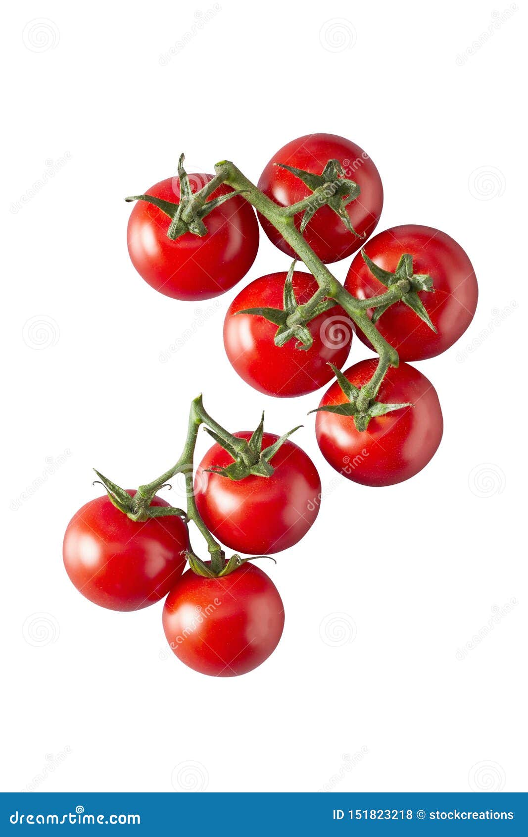 bunch of ripe red tomatoes on the vine