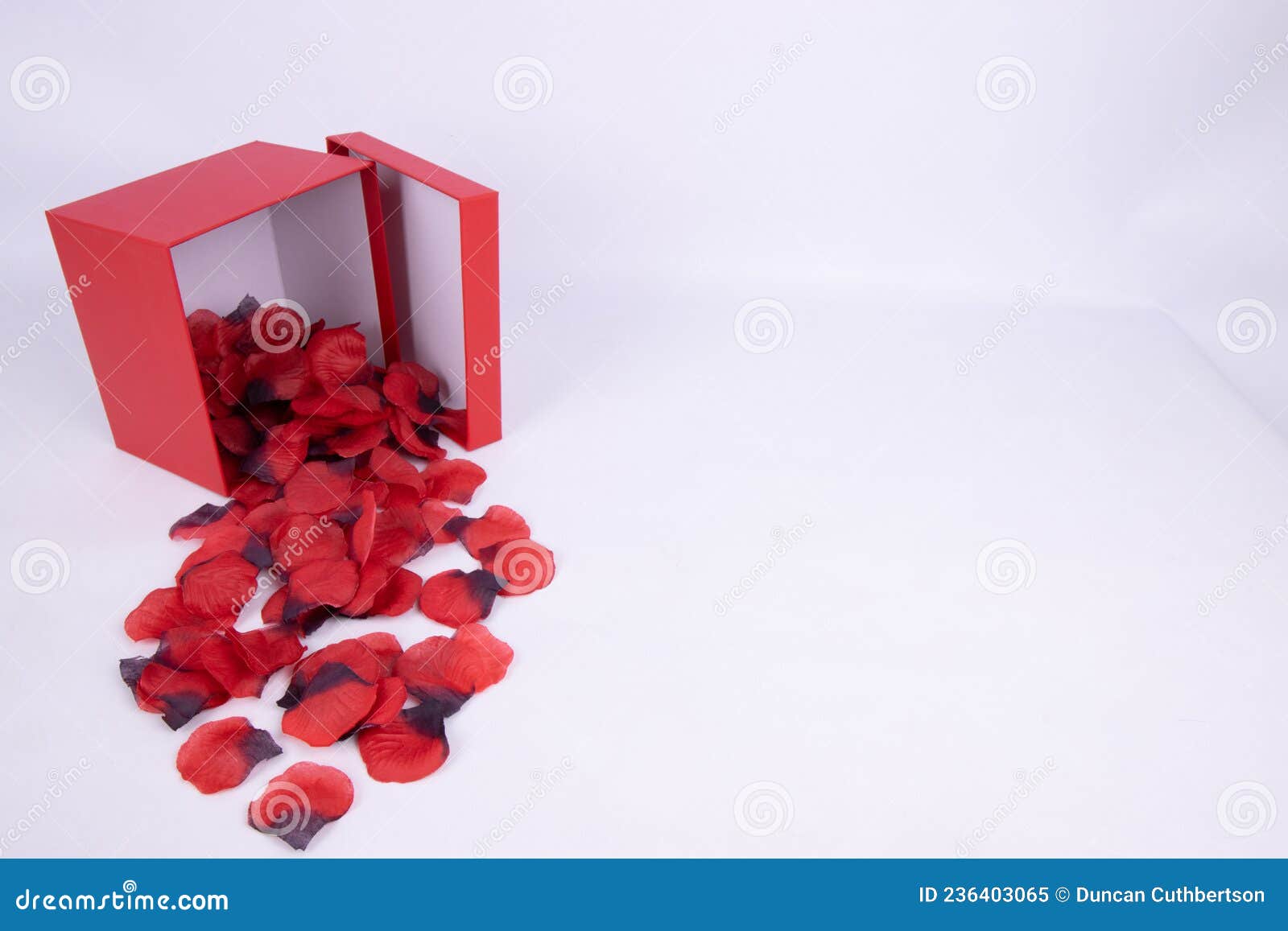 Romantic Red Rose Petals