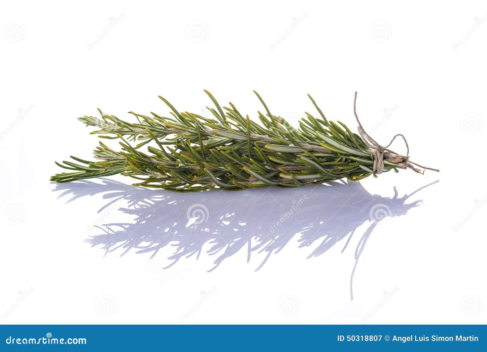 bunch of rosemary on a white background
