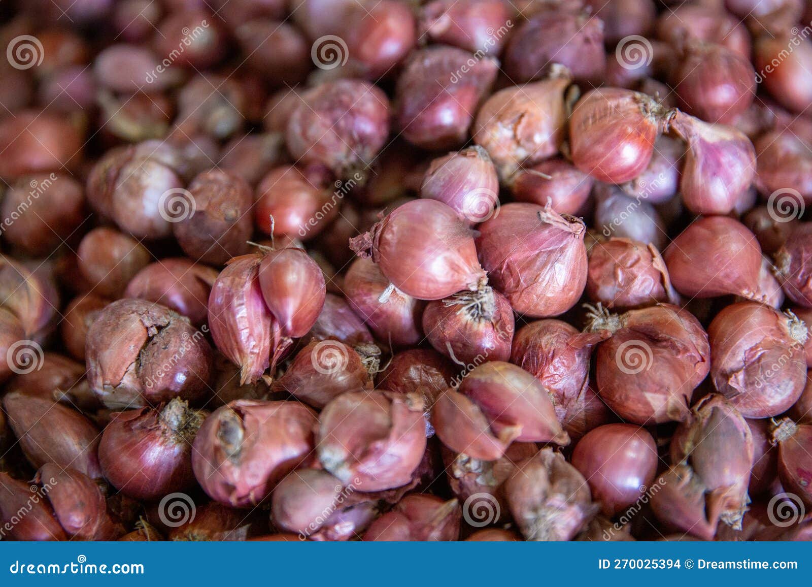Bunch of shallots 27928331 PNG