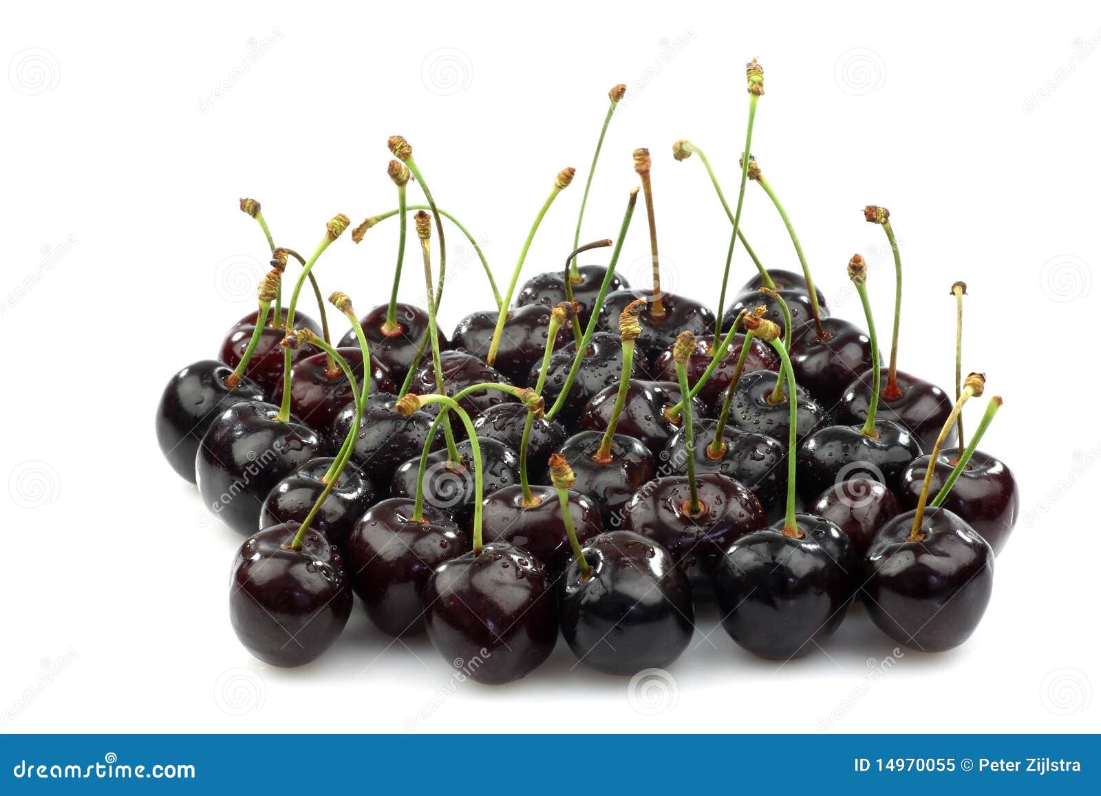 Bunch Of Shiny Fresh Black Sweet Cherries Stock Image Image of nourishing, gourmet 14970055