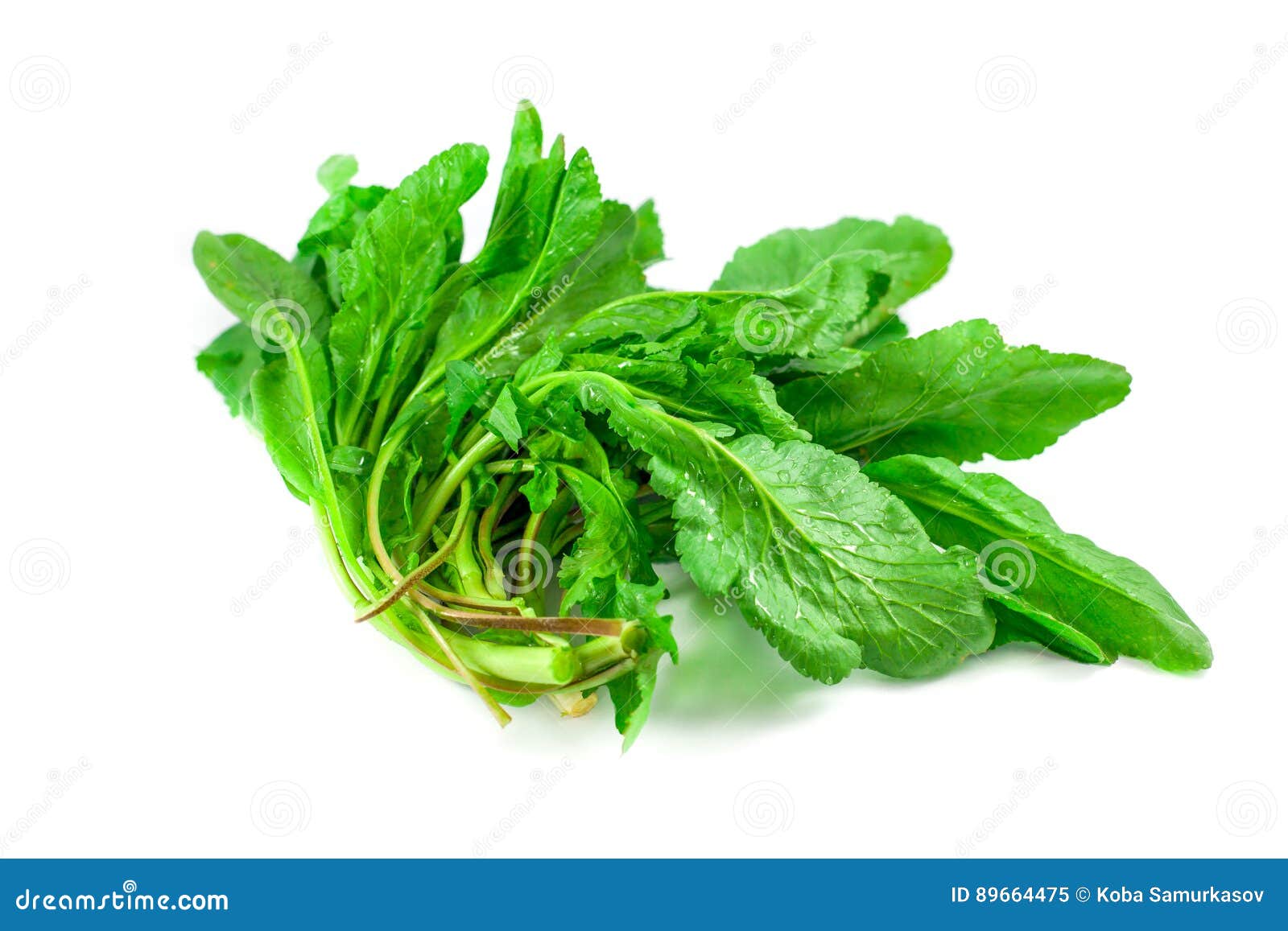 bunch of spinach  on white background