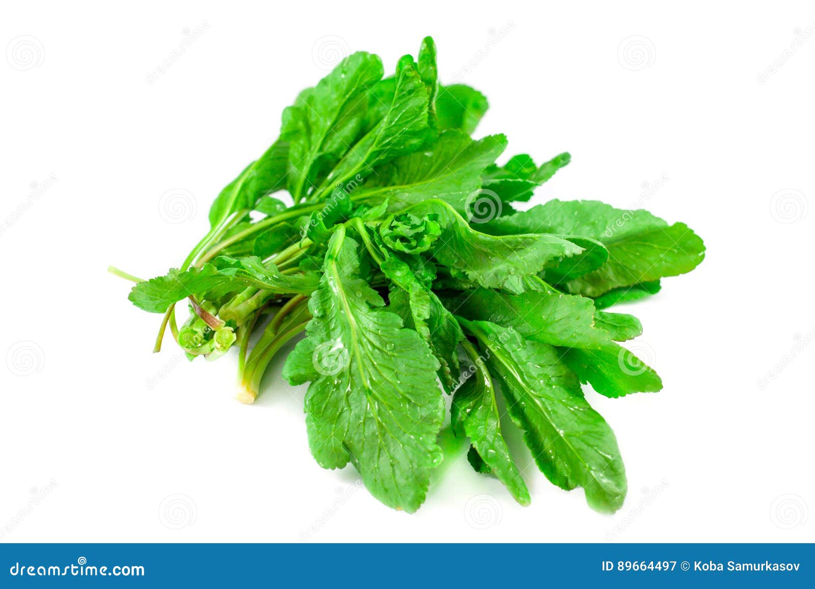 bunch of spinach  on white background