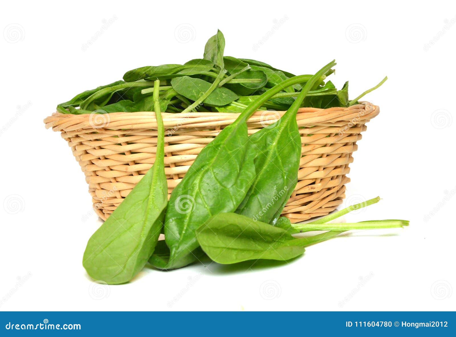 Bunch of Spinach Leaves in Basket Stock Photo Image of basket
