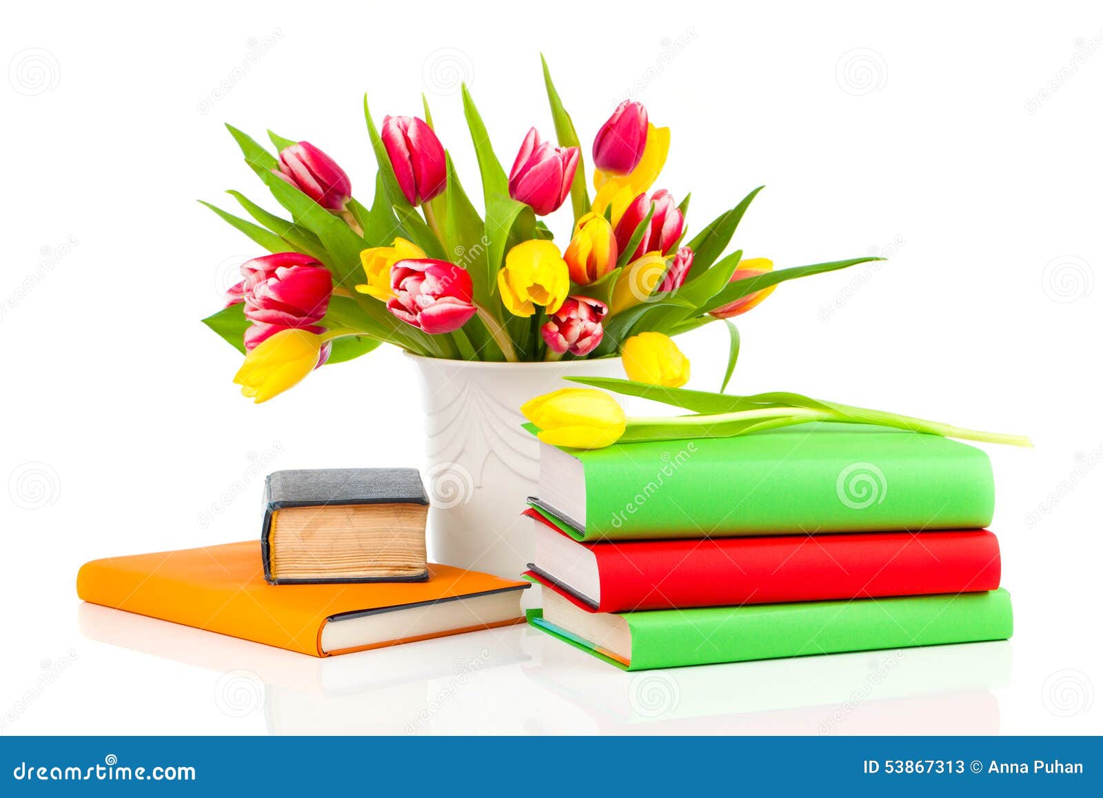 Bunch of Spring Tulips and Books Stock Image Image of copy, life