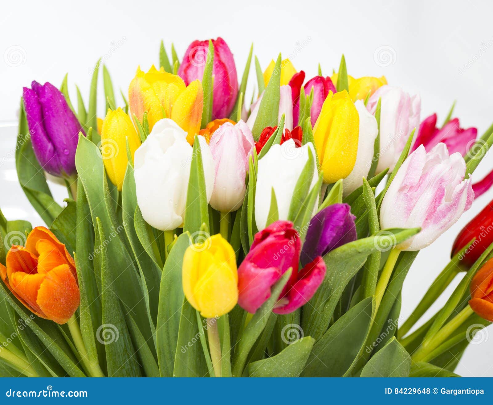 Bunch of spring tulips stock photo. Image of blossom - 84229648