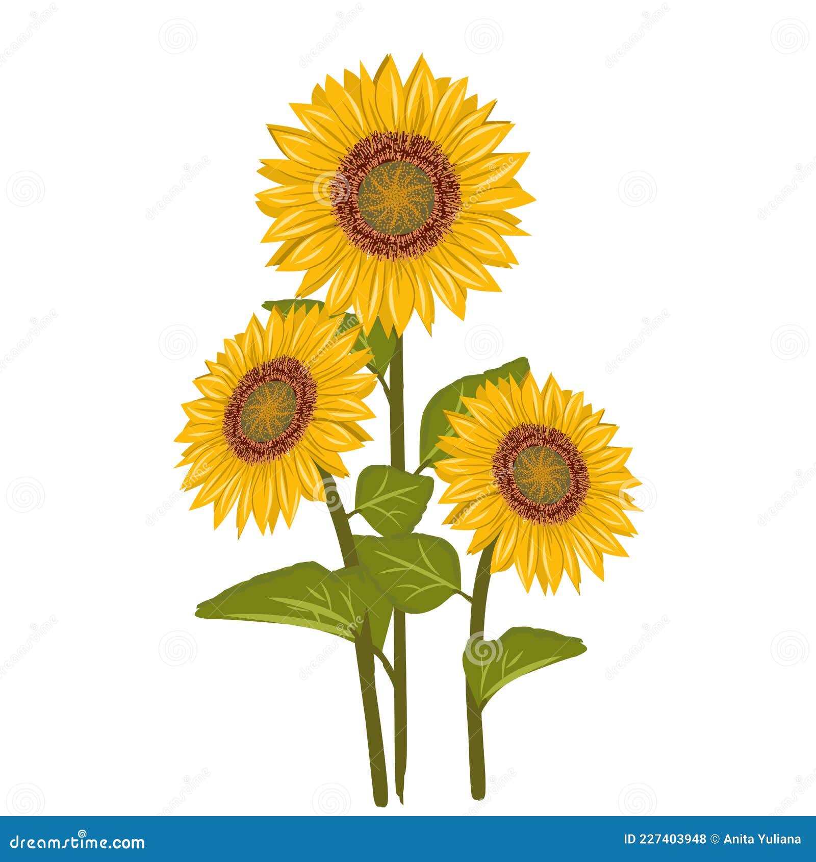 Sunflowers Drawing On White. Stylized Line Art Illustration Cartoon Vector