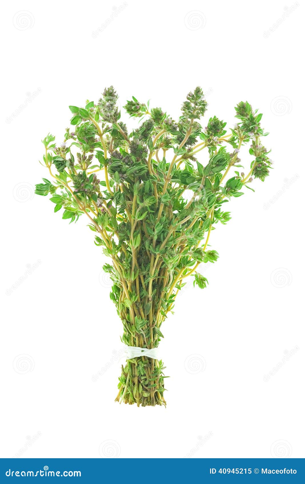 bunch of thyme to dried bunch of thyme to dried