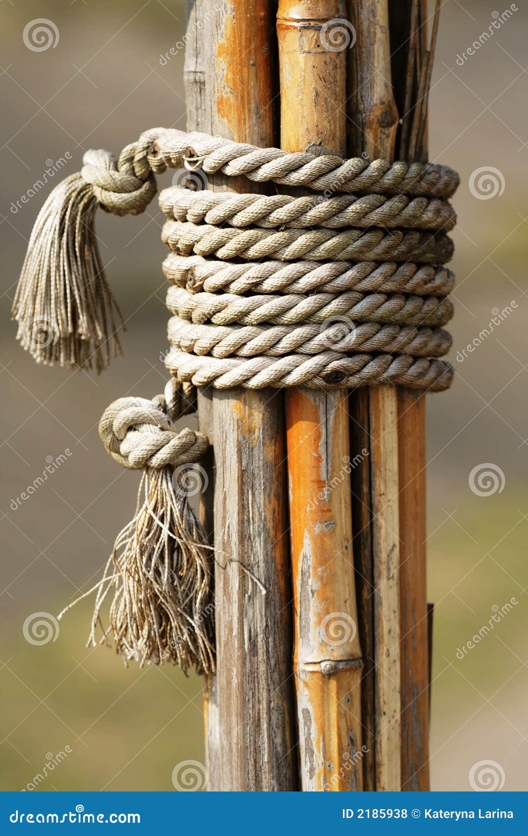 2,001 Bamboo Trap Stock Photos - Free & Royalty-Free Stock Photos from  Dreamstime