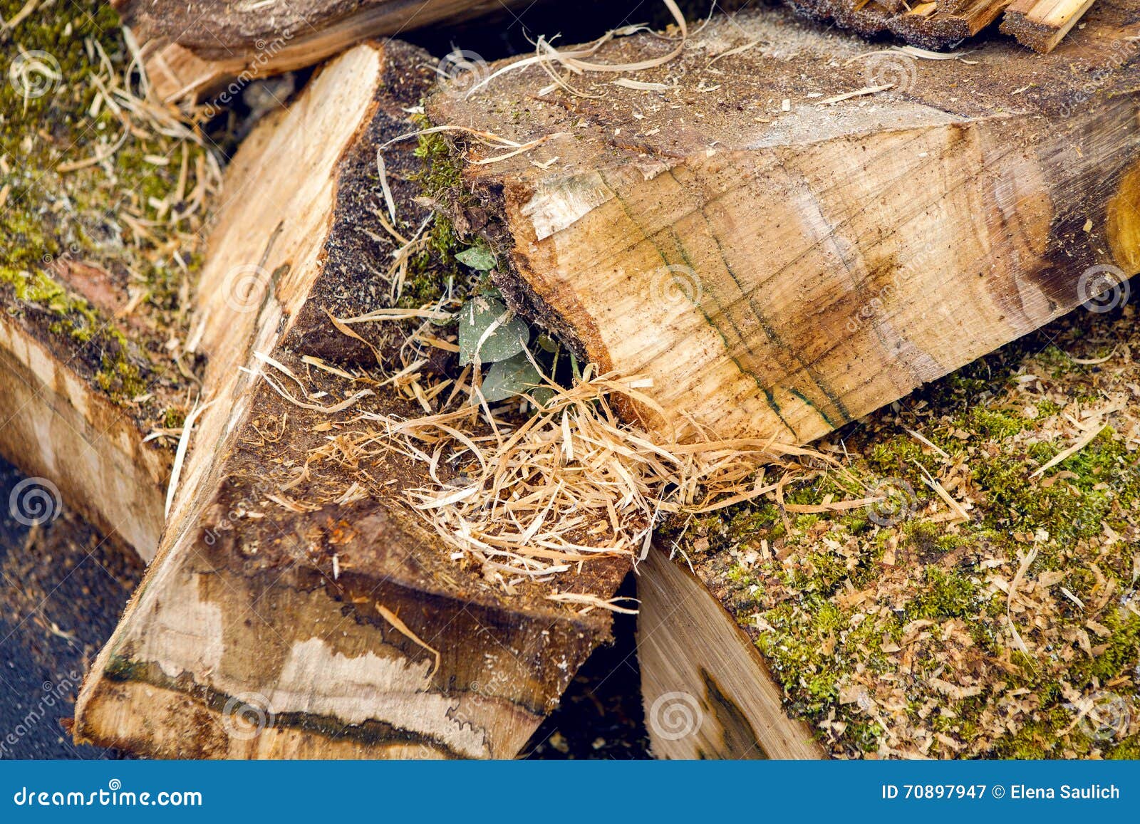 Bunch of wet firewood stock image. Image of lumber, abstract 70897947