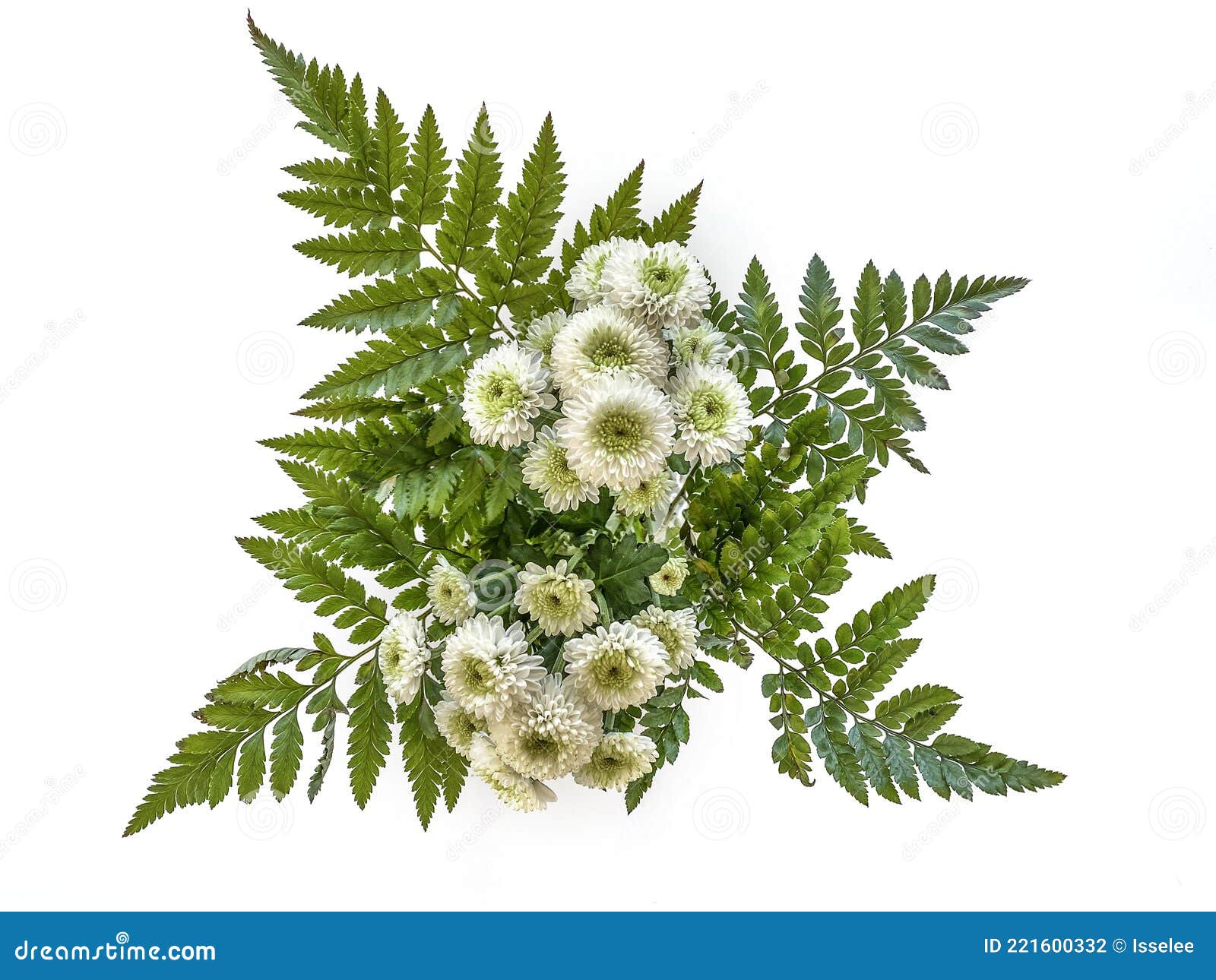 Bunch of White flowers stock photo. Image of bunch, gift 221600332