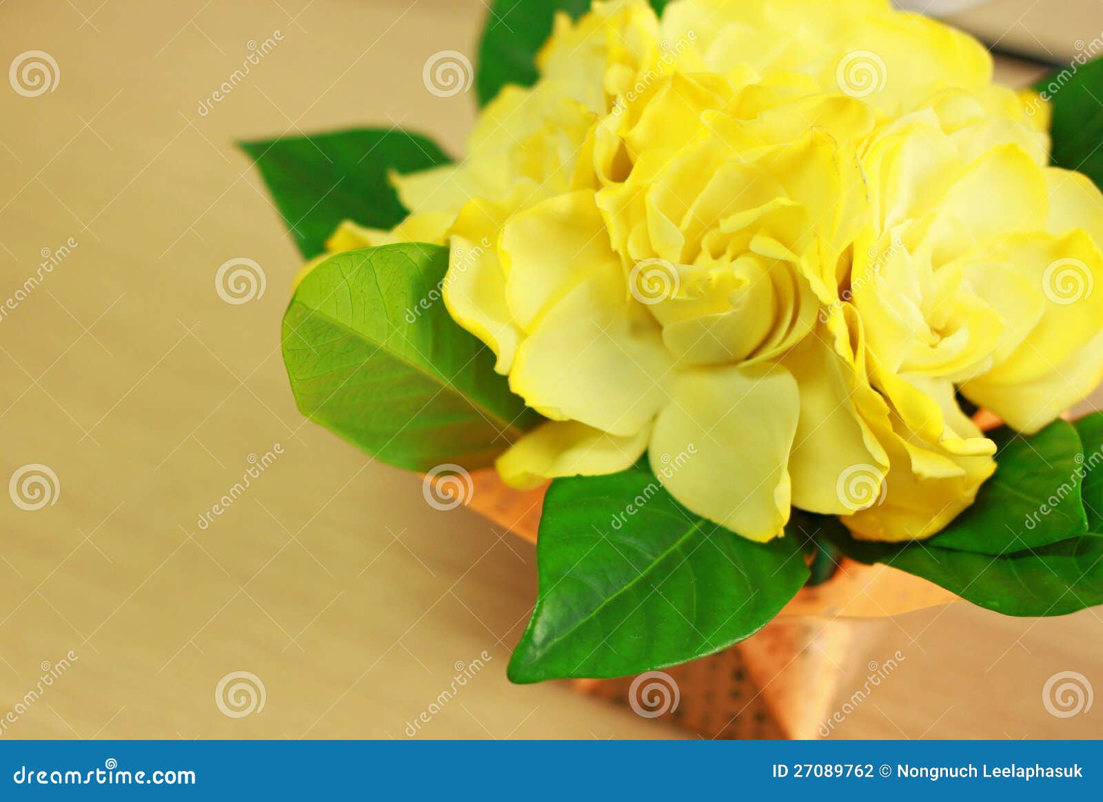 A bunch of yellow flowers stock photo. Image of stem 27089762