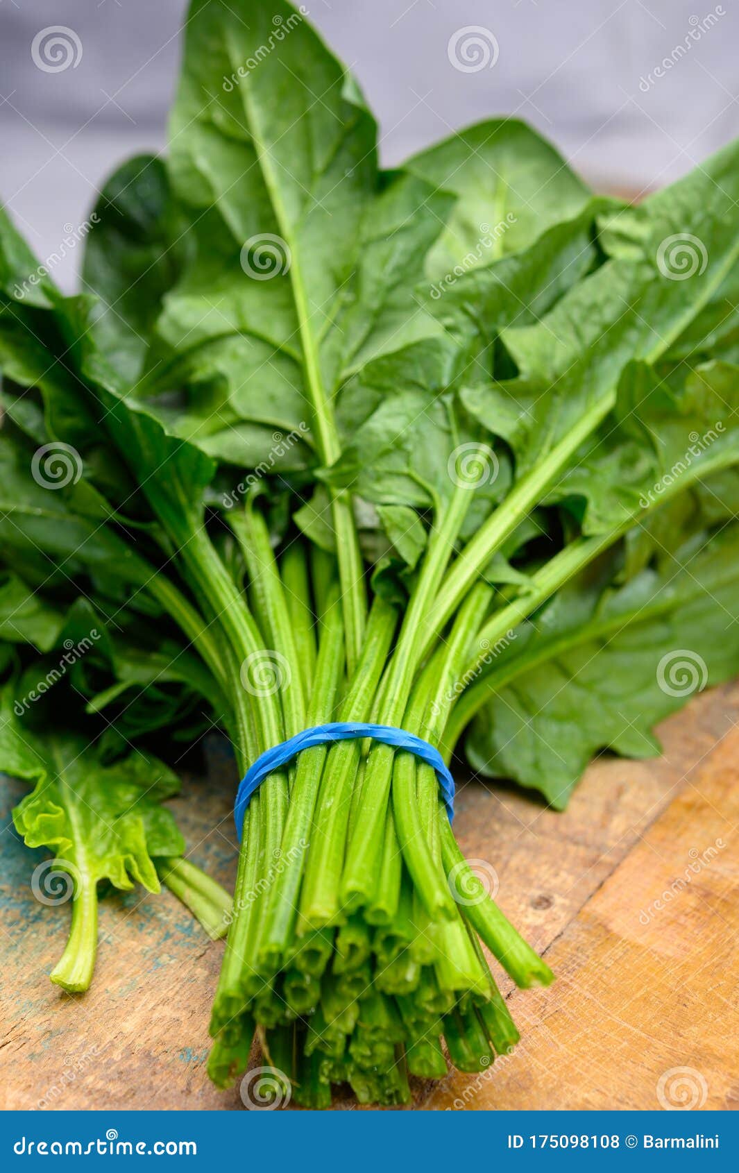Bunch of Young Fresh Leaves of Green Organic Spinach Ready To Cook